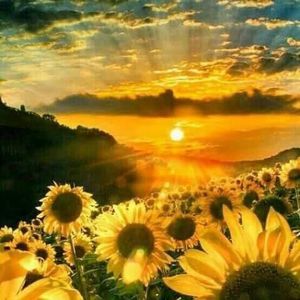 Meet your Posher, Carmen